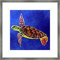 Sea Turtle - Solid Background Framed Print