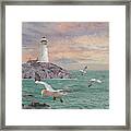 Seabirds At Rocky Point Lighthouse Framed Print