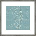 Seahorse By The Seashore Framed Print