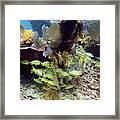 Seascape At Mike's Wreck 8 Framed Print