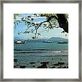 Seaside Landscape With Tree Framed Print