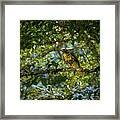 Secluded Hunter Framed Print