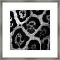 Seeing Spots Framed Print