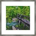 Seidman Park, Michigan Framed Print