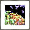 Semi-abstract Coronavirus With Blue Antibodies Vertical 2 Framed Print