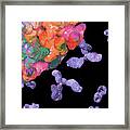 Semi-abstract Rainbow Coronavirus With Blue Antibodies Portrait Detail Framed Print