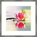 Serene Water Lily Watercolor Framed Print