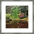 Serenity Framed Print