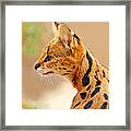 Serval - Extreme Hunter Framed Print