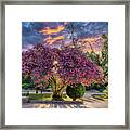 Seville - Jardines De Murillo Framed Print