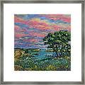 Shad Scatter On The Lake Framed Print