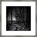 Shadows Trees Landscape - Holga Framed Print