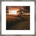 Shady Sunset Framed Print