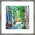 Shady Tree Lined Country Road Framed Print