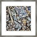 Shards Framed Print