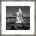 Share The Road Framed Print
