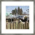 Shark Headed Into Cage In Rural Michigan Framed Print