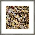 What, No Sand - Doubtless Bay Framed Print