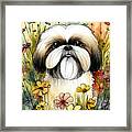 Shih Tzu In Flower Field 2 Framed Print