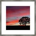 Silhouette Sunset Framed Print