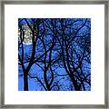 Silhouetted Trees At Full Moon Framed Print