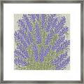 Silk Lavender Framed Print