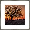 Silohenge Sunrise 1 Of 2 - Sunrise Aligned With Farm Silos And Majestic Oak Tree Framed Print
