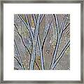 Silver Birch I Framed Print