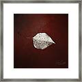 Silver Single Looking For Love Framed Print