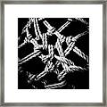 Silver Strands Framed Print