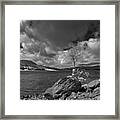 Lonely Tree On The Rock Framed Print