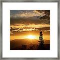 Single Tree Sunset Framed Print