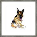 Sitting German Shepherd Framed Print