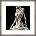 Skeleton Bride 01 Framed Print