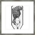 Skull And Crow Framed Print