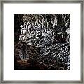 Skull Cave Framed Print