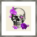 Skull With Purple Roses Framed Print