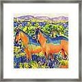 Sky Ponies, Indian Painted Framed Print