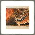 Smaug The Dragon Framed Print