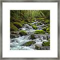 Smoky Mountains Spring River Water Framed Print