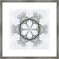 Snoakflake - Snow Covered Oak Tree In Winter As Through Kaleidoscope Framed Print