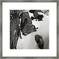 Snow And Rock Framed Print