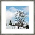 Snow Beauty Framed Print