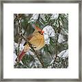 Snow Day Lady Cardinal Horizontal Framed Print