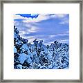 Snow Covered Pine Trees Framed Print