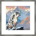 Snow Leopard Looking For Prey - 01949 Framed Print