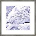Snow Wolves Framed Print