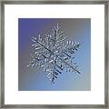 Snowflake 2016-01-21 - 1 Alt Framed Print