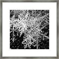 Snowflake Pile Closeup Macro Winter Snow Framed Print