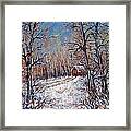Snowing In The Woods Framed Print